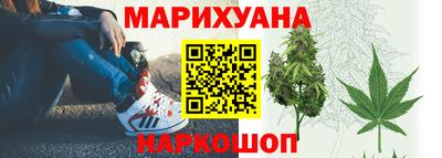 хмурый Новозыбков