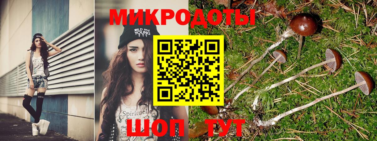 Севастополь  Галлюциногенные грибы прущие грибы  Вход с VPN 