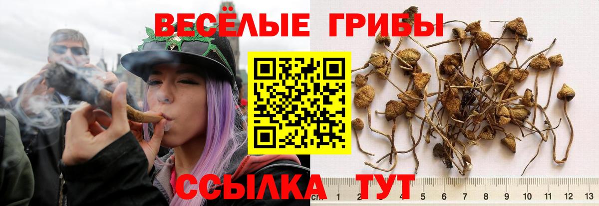 МАРИХУАНА  Вход с VPN  МЕТАМФЕТАМИН  ГАШИШ  Гашиш  NBOMe  Cocaine  Севастополь  Меф МЯУ МЯУ кристаллы 